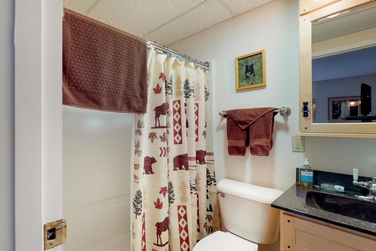 Squaw Village Condo Greenville Bilik gambar